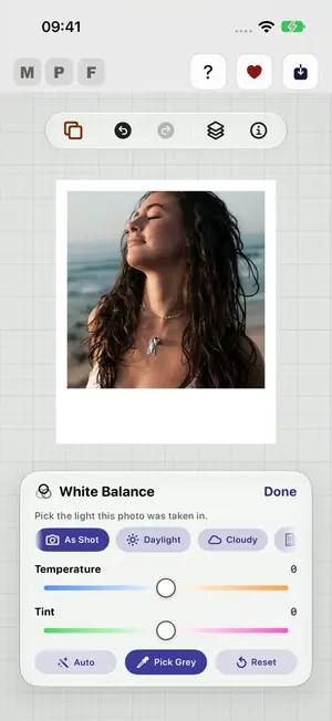 The White Balance panel with As Shot, Daylight and Cloudy, Temperature and Tint sliders, and Auto, Pick Grey and Reset